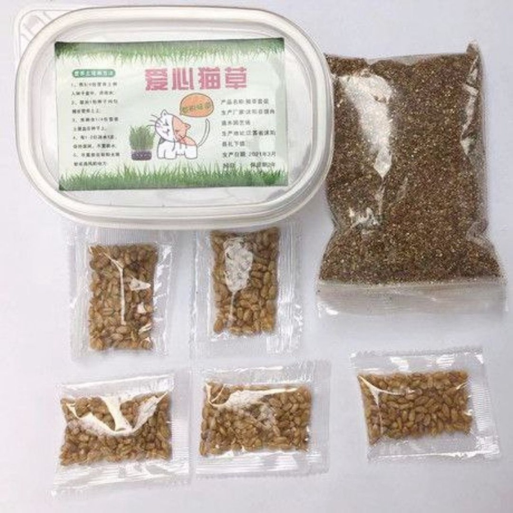 PAKET MENANAM RUMPUT GANDUM WHEAT GRASS CATGRASS BIJI BENIH BIBIT RUMPUT KUCING FEFARM