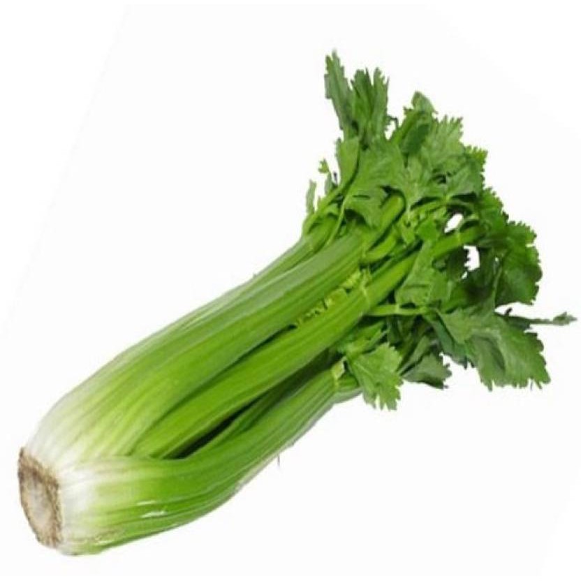 

Celery Stick 300 Gram [GOSEND]