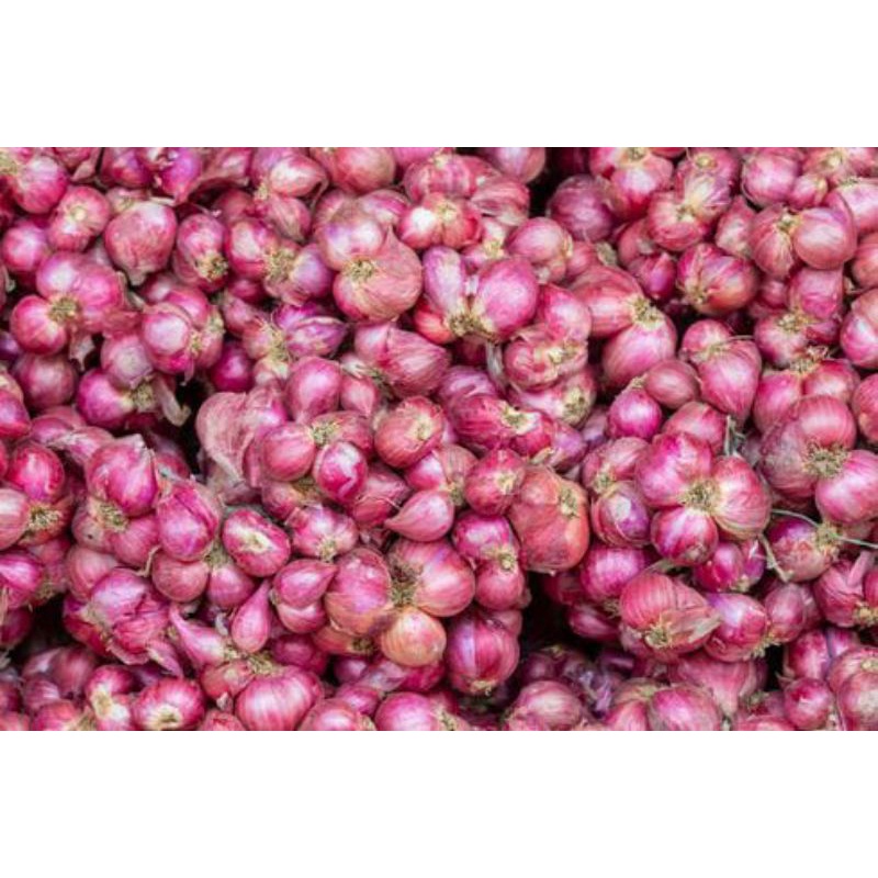 

bawang merah Bandung 500gram