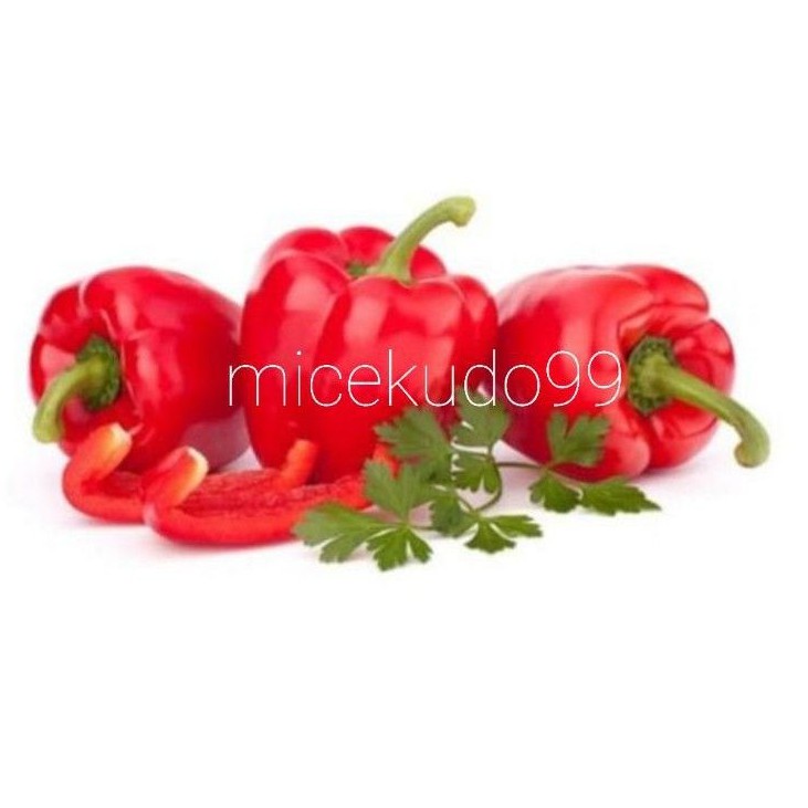 

RED BELL PEPPER FRESH / PAPRIKA MERAH SEGAR