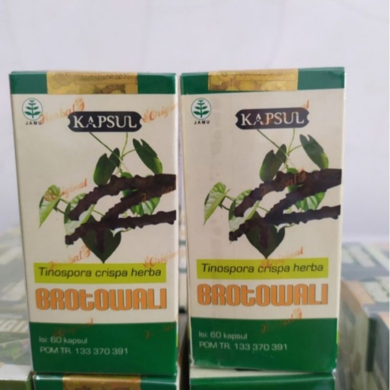 Kapsul Extrak BROTOWALI Isi 60 Kapsul Extrak Brotowali