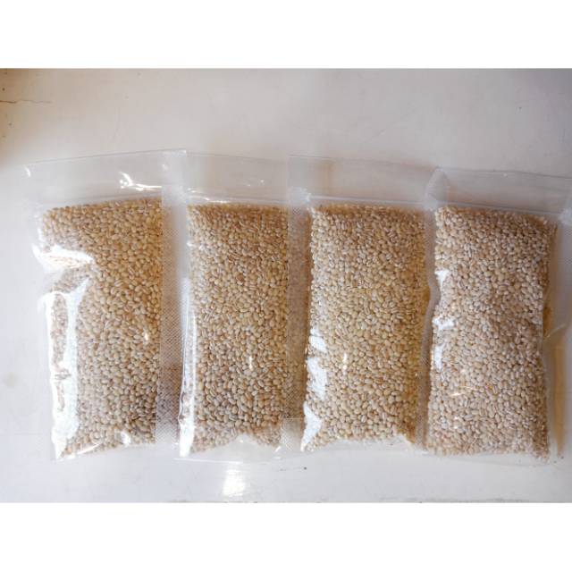 

BIJI JALI-JALI PEARL BARLEY BIJI JALI BUAT KESEHATAN KEMASAN 100gr