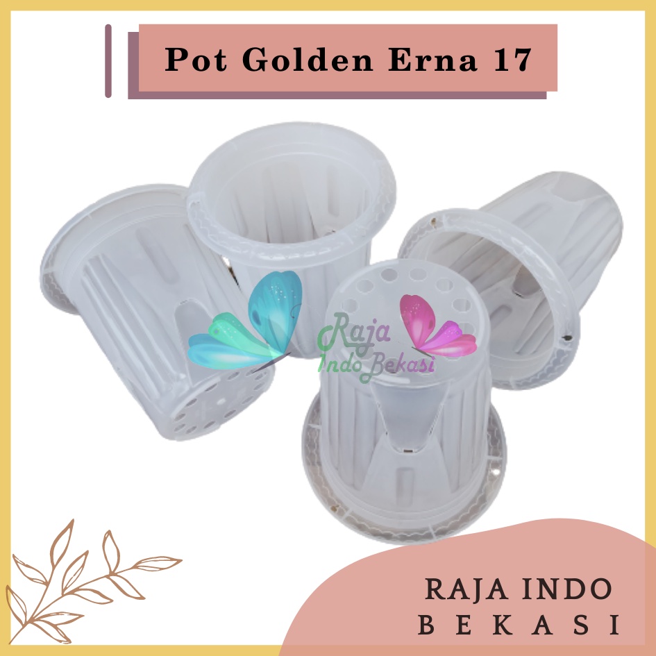 Pot GE17 Golden Erna 17 Transparan Bening Garden Of Love Mirip Pot Yogap 15 17 Putih Coklat Merah Bata Bening Transparan Pot Yogap 17 18 19 Pot Yogap Murah Pot Bunga Tinggi Pirus Tegak Bagus Tebal