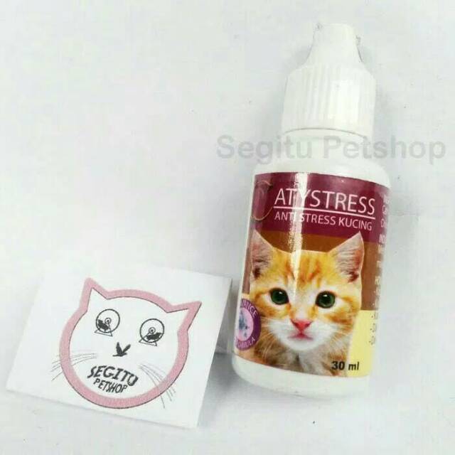 Obat kucing Antistress