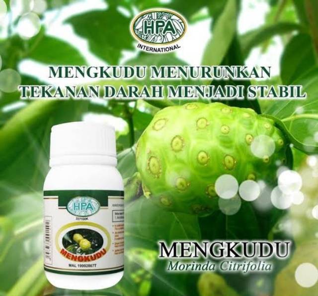 Mengkudu HPA