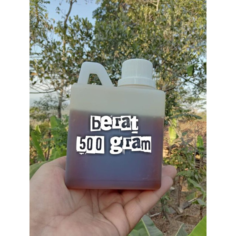 

MADU ASLI hutan ,mellifera,klanceng