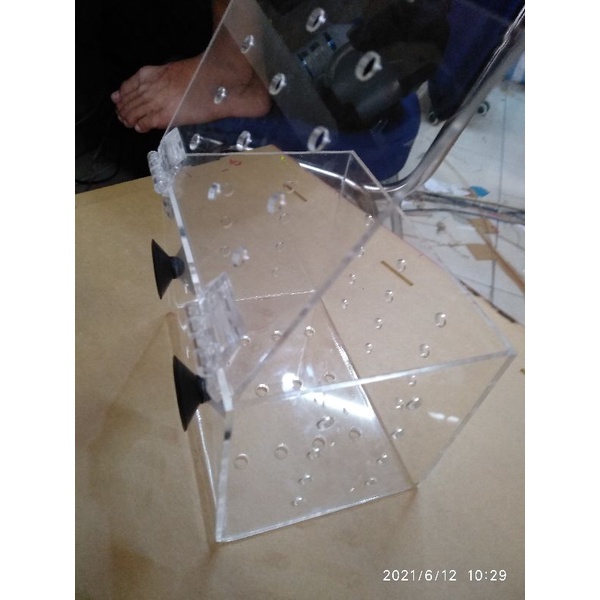 box karantina ikan hias