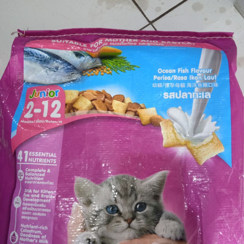 WHISKAS JUNIOR 6,5KG JUNIOR OCEANFISH 6.5 KG - JUNIOR OCEANFIS