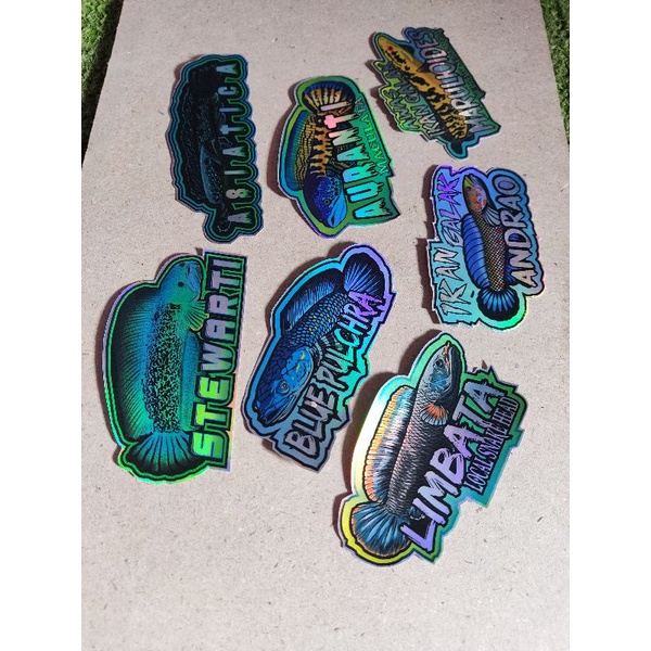 STIKER HOLOGRAM IKAN CHANNA