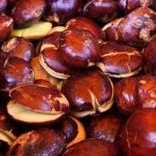 

Jengkol