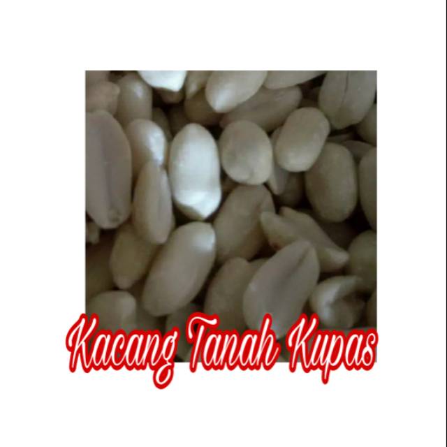

KACANG TANAH KUPAS BESAR (MENTAH) 500gr