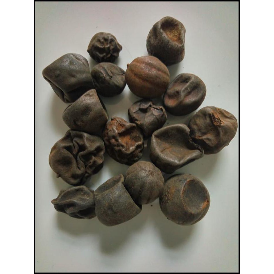 

Promo Terbatas - Loomi/Dried Lime/Black Lime/Lemon Kering 100 Gr