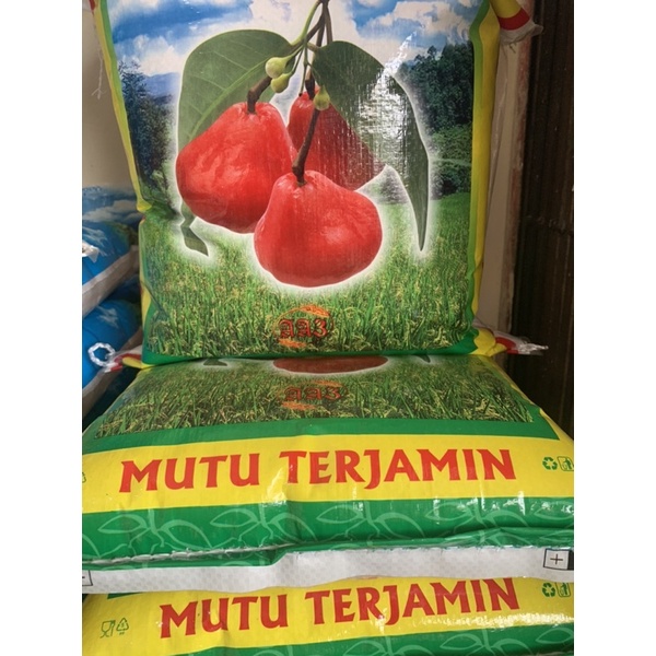 

3jambu pandan wangi 10 kg