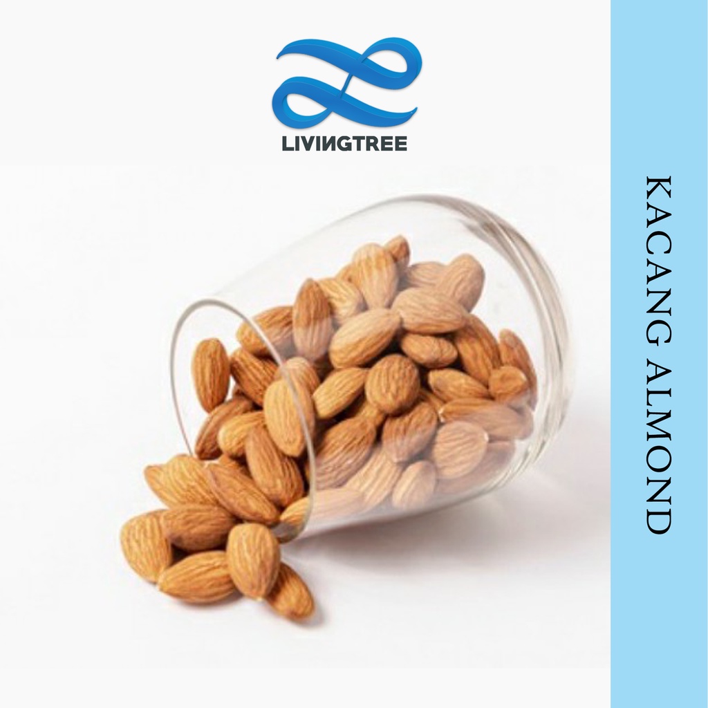 Kacang Almond Matang tanpa kulit 500 gram