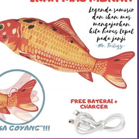 ❅ Mainan Ikan Goyang-Goyang Tiktok Goyang - Nemo Uget lucu kucing Arwana ikan gerak gerak mainan ana