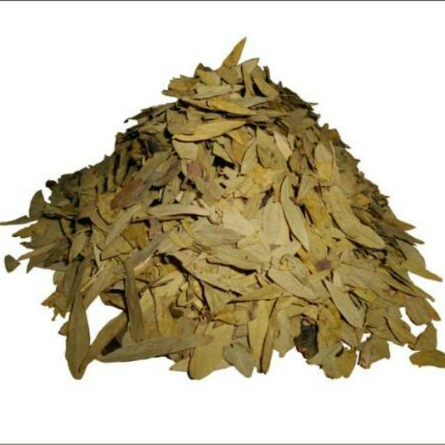 

[COD]DAUN JATI CINA ORIGINAL 1kg (bisa bayar di tempat)