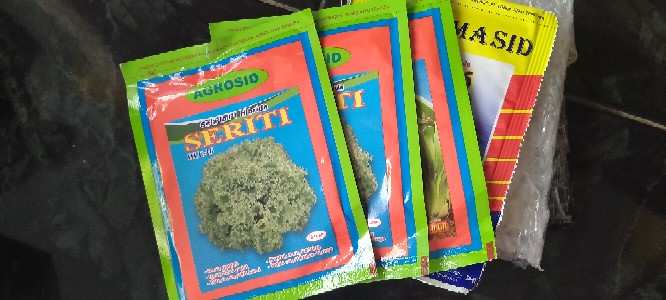 Benih/bibit Sawi Emone 26 F1