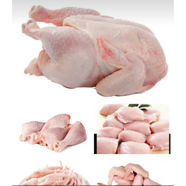

Daging Ayam Fresh Non Frozen