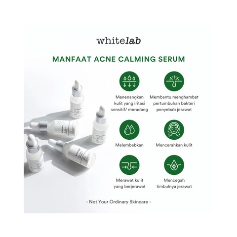 [ WACS ] Whitelab Acne Calming Serum - Whitelab Acne Serum Calming