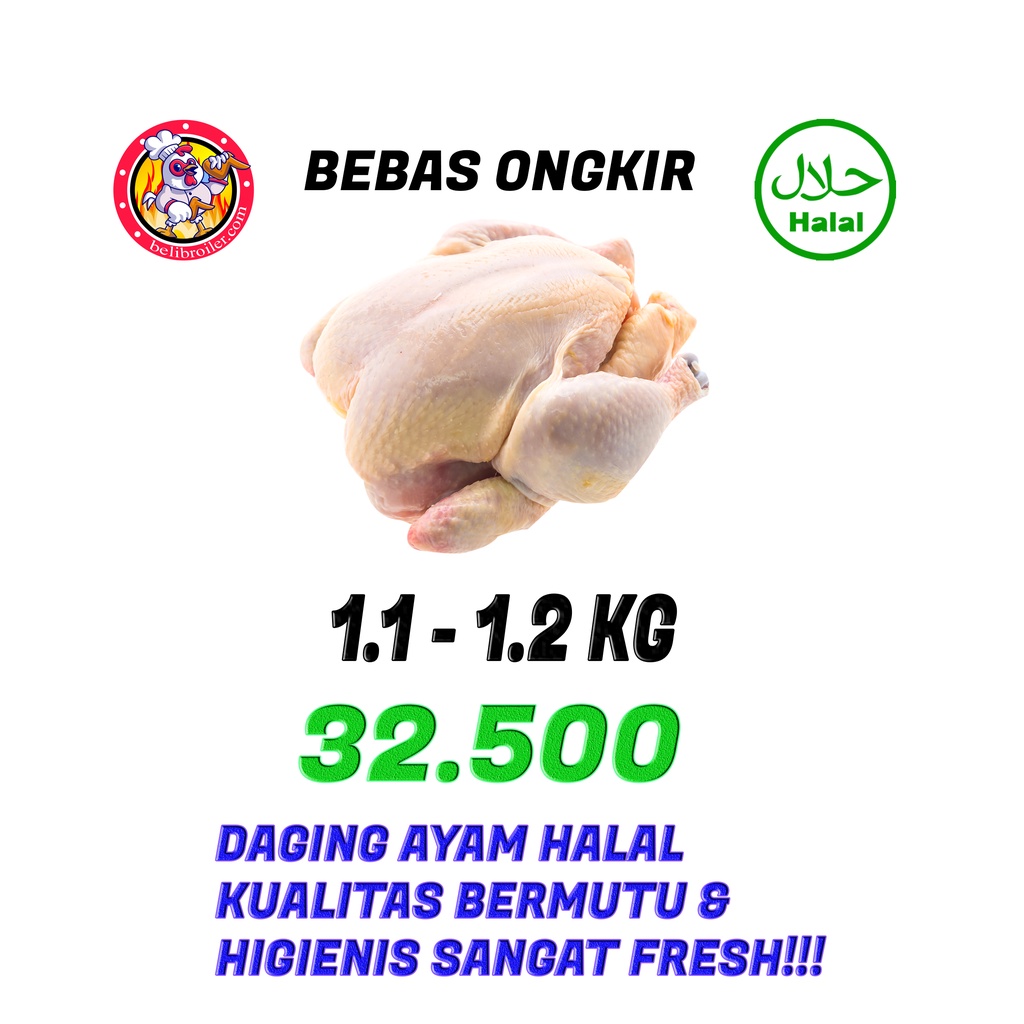 

AYAM KARKAS 1.1 - 1.2 KG HIDUP