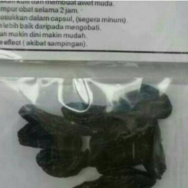OBAT GATAL TERBUAT DARI EMPEDU ULAR COBRA