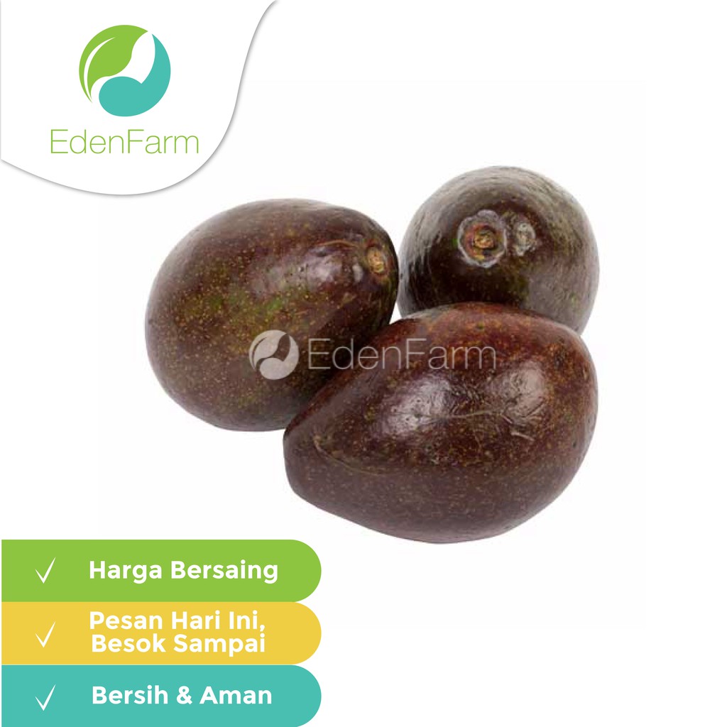 

Alpukat Mentega Besar (3-4 pcs/kg)