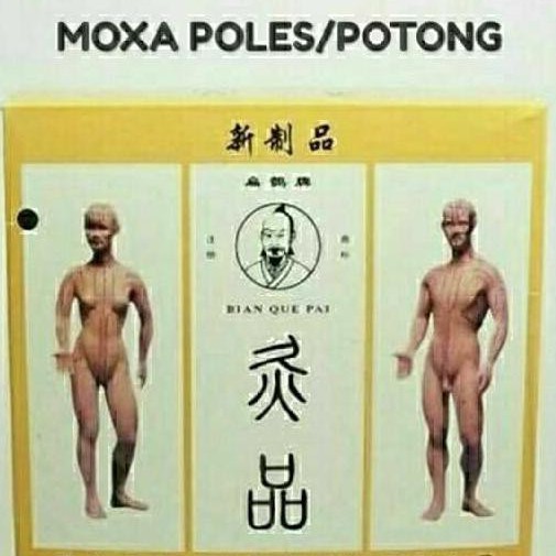 MOXA POLES/POTONG ISI 200 MOKSA SATE AKUPUNTUR
