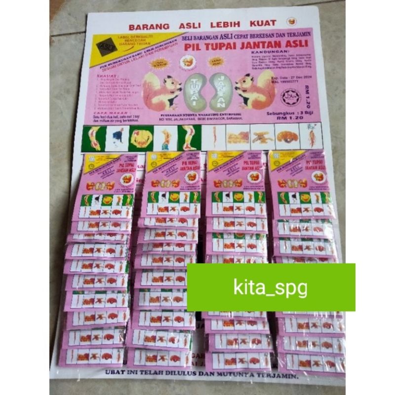 pil Tupai jantan asli