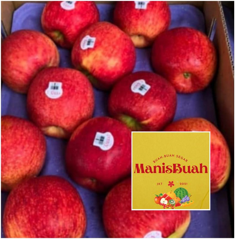 

APEL ENVY PREMIUM FRESH PER DUS