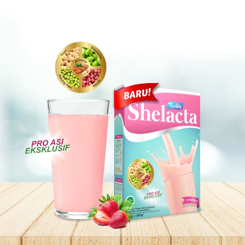 SHELACTA PRO ASI ORIGINAL AMPUH DALAM 24JAM