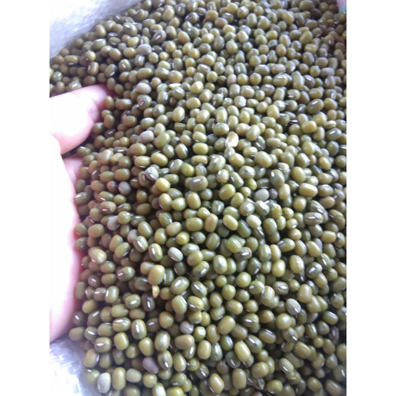 

kacang hijau birma 250 gram