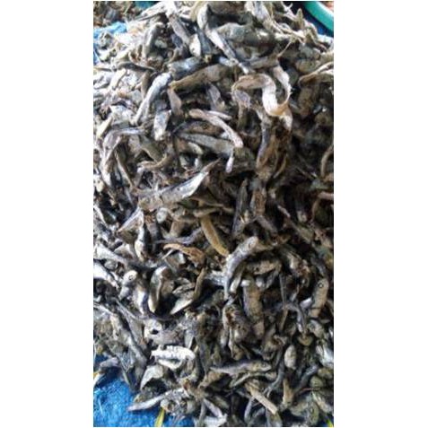 

Ikan Rebus Anak Tamban ( 250 Gr )