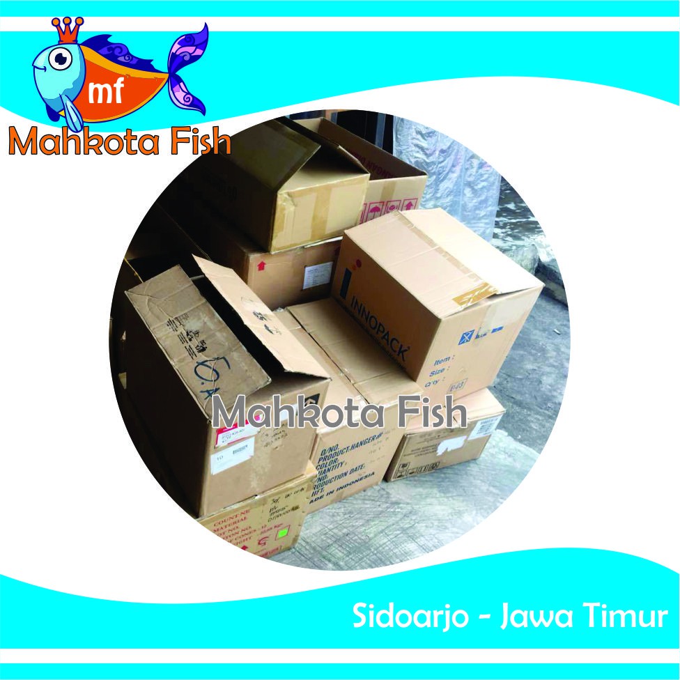 Kardus / bubble wrap | Buble wrap | Packing Tambahan | PACKING AMAN