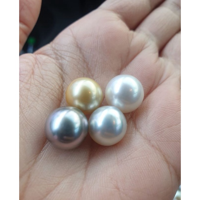Mutiara Laut Grade AAA