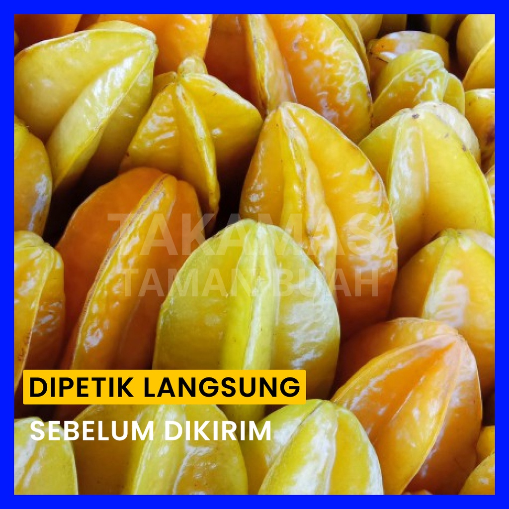 

Belimbing Madu 1 kg Buah Belimbing Jumbo Besar Belimbing Segar