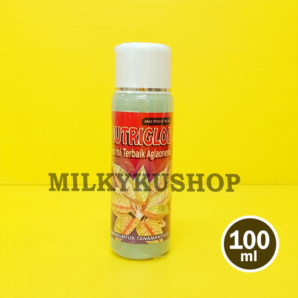 NUTRIGLOE 100 ML PUPUK CAIR AGLAONEMA