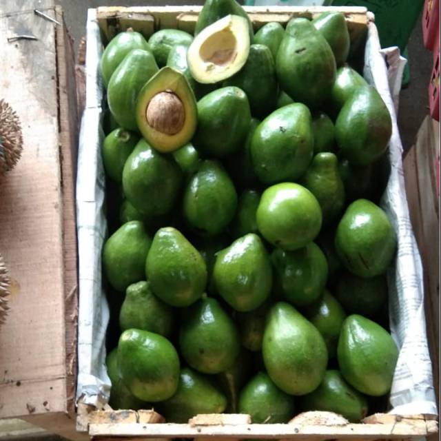 

Buah Alpukat / Avocado fruit