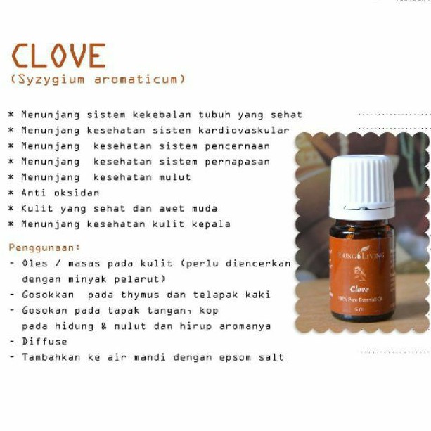 ESSENTIAL OIL CLOVE YL