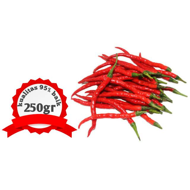 

Cabe merah keriting kualitas best