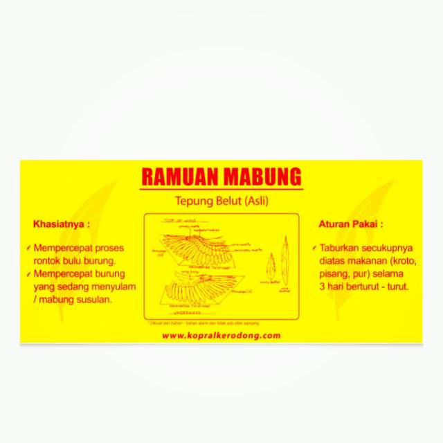 Ramuan mabung (tepung belut asli)