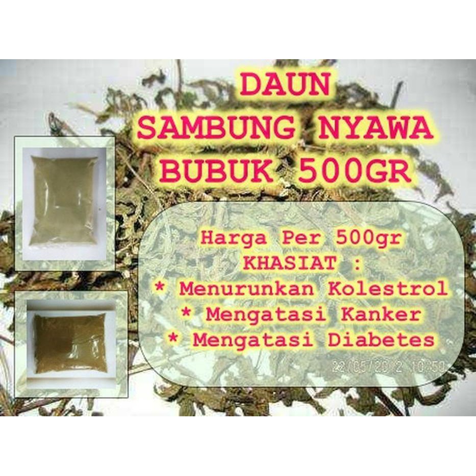 

Daun Sambung Nyawa Bubuk Murni 500gr | Mengatasi Diabetes