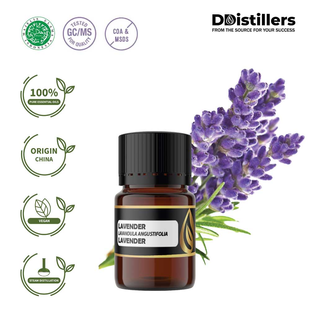 Jual Lavender Essential Oil 100 % Pure Volume 2-10 Ml | Shopee Indonesia