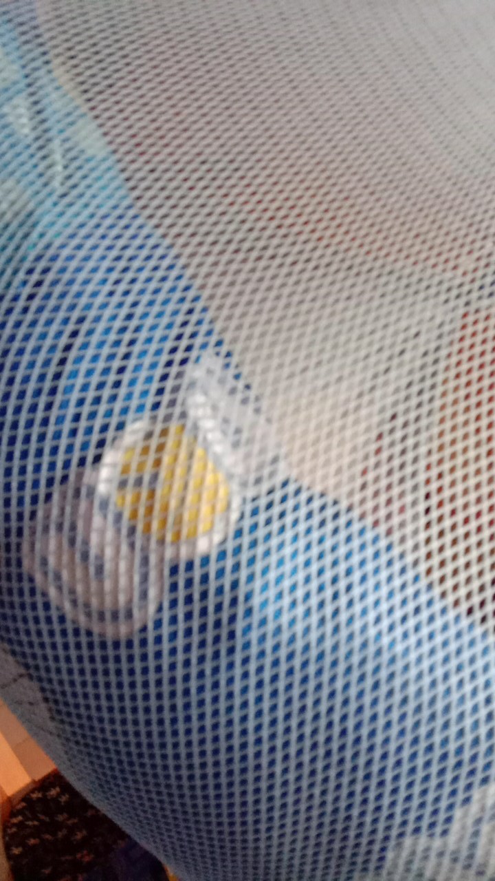 Pisau Dapur - Pisau Untuk Kupas Sayur Dan Buah Stainless Steel - Hg