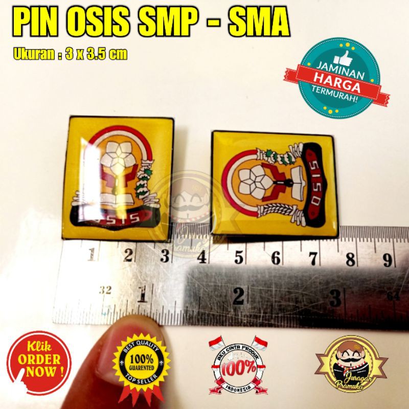 PIN OSIS SMP SMA