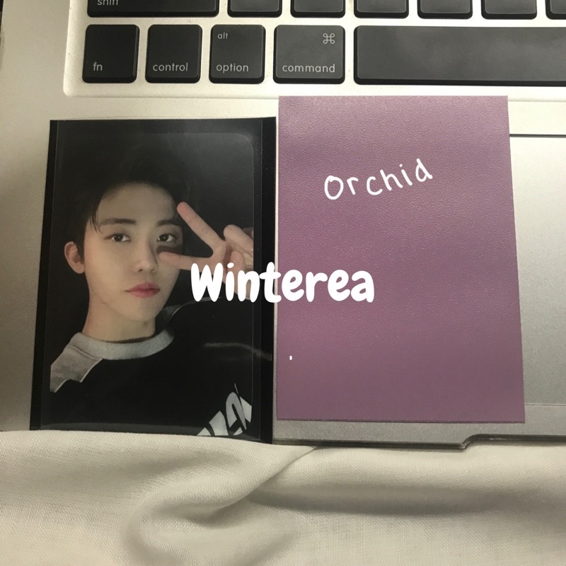 inner sleeve dragon shield [10 pcs] black / red / clear blue / blue / pearl / ivory