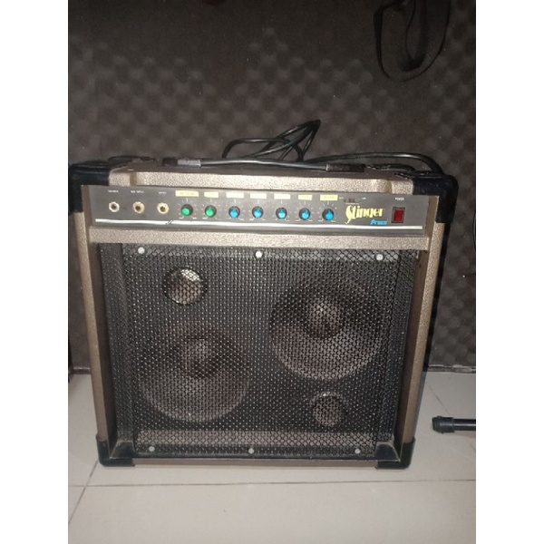 Amplifier GITAR Dan BASS Prince Stinger Pro 40Watt Original