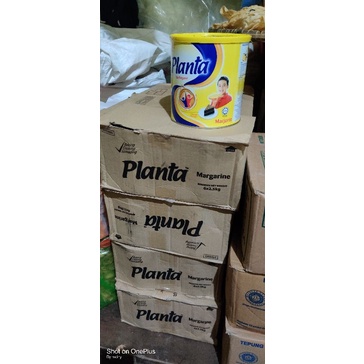 

planta malaysia 2.5 kg