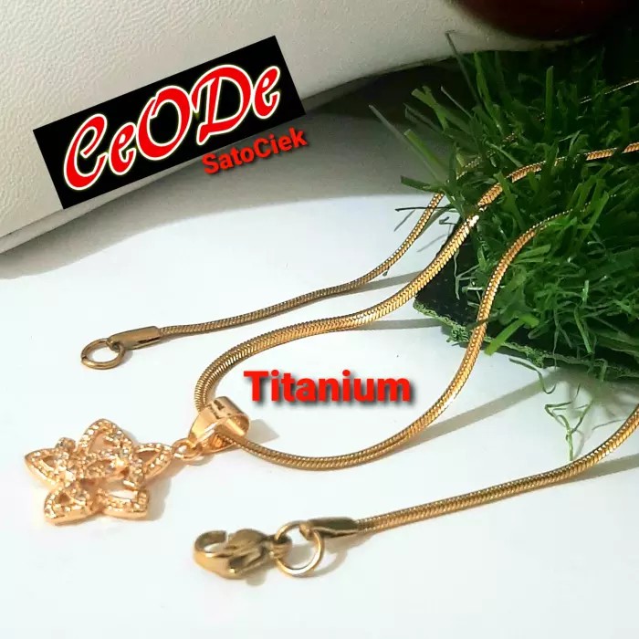 Gantry Kalung Plus Liontin Bintang Titanium Gold Anti Karat