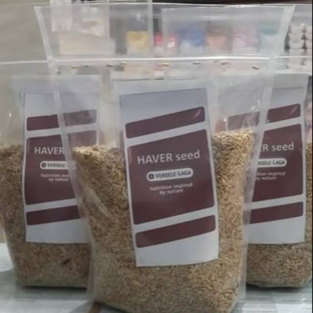 

Haver Seeds Kupas 1kg Versele-Laga Tanpa Kulit Bersih