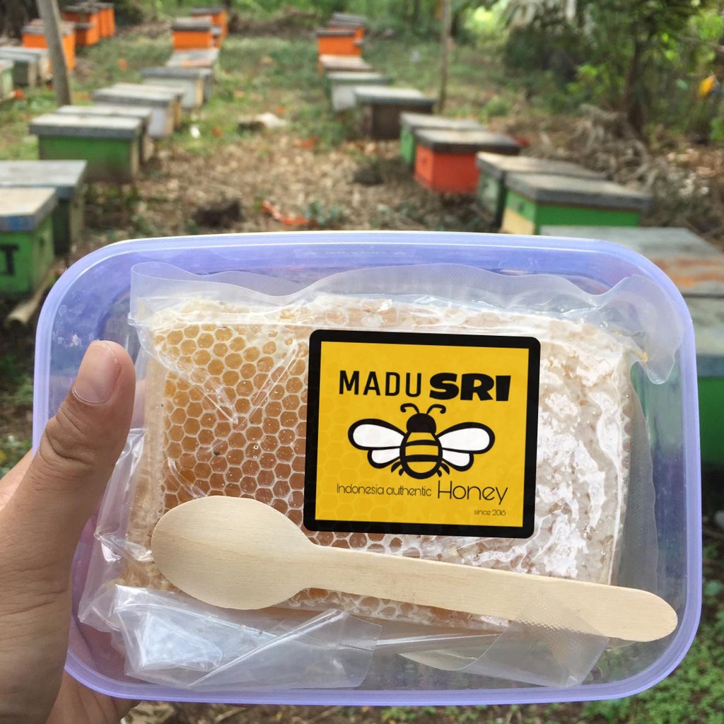 

SARANG MADU ASLI MELLIFERA (500 gram)